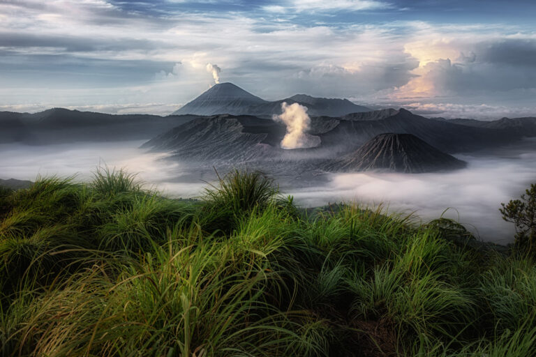 Magnificent Land - Foggy dawn
